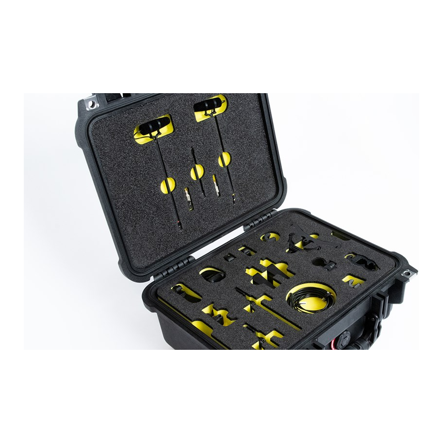 DPA DIN4099 Instrument Microphone Kit