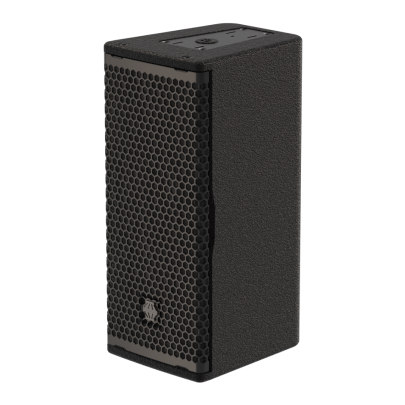 EM Acoustics R5 Passive Loudspeaker