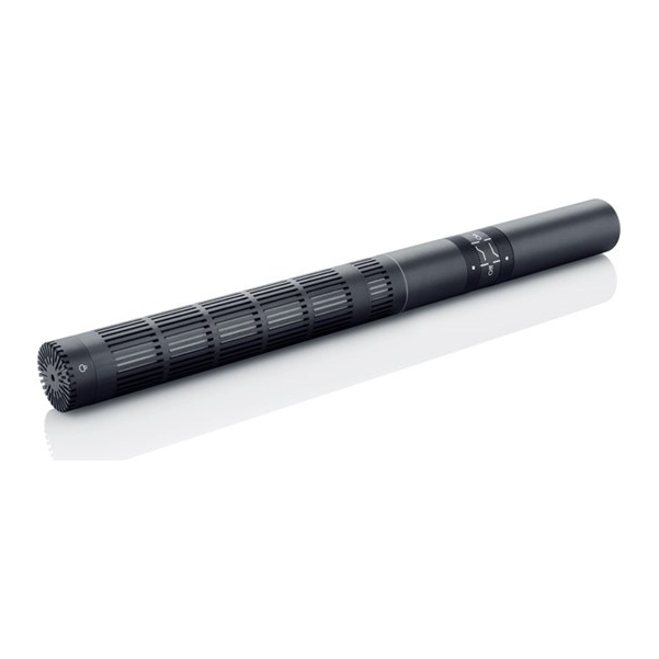 DPA 4017B Supercardioid Shotgun Microphone